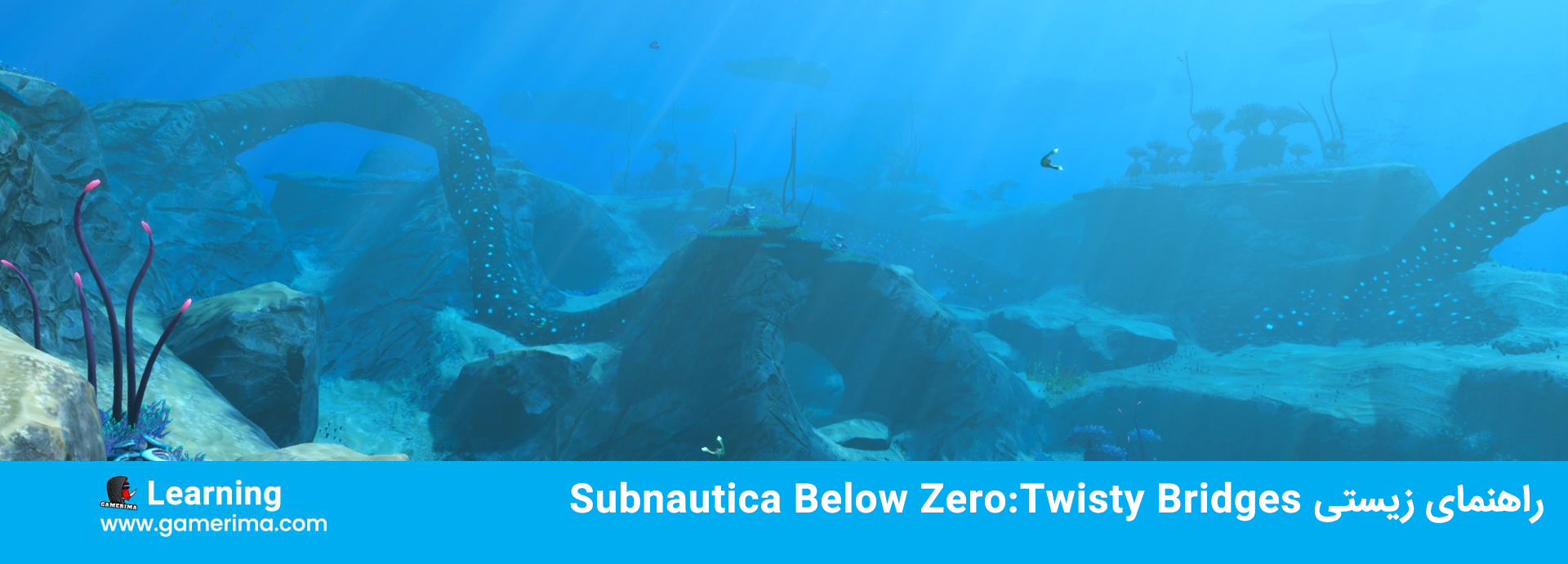 راهنمای زیستی Subnautica Below Zero:Twisty Bridges