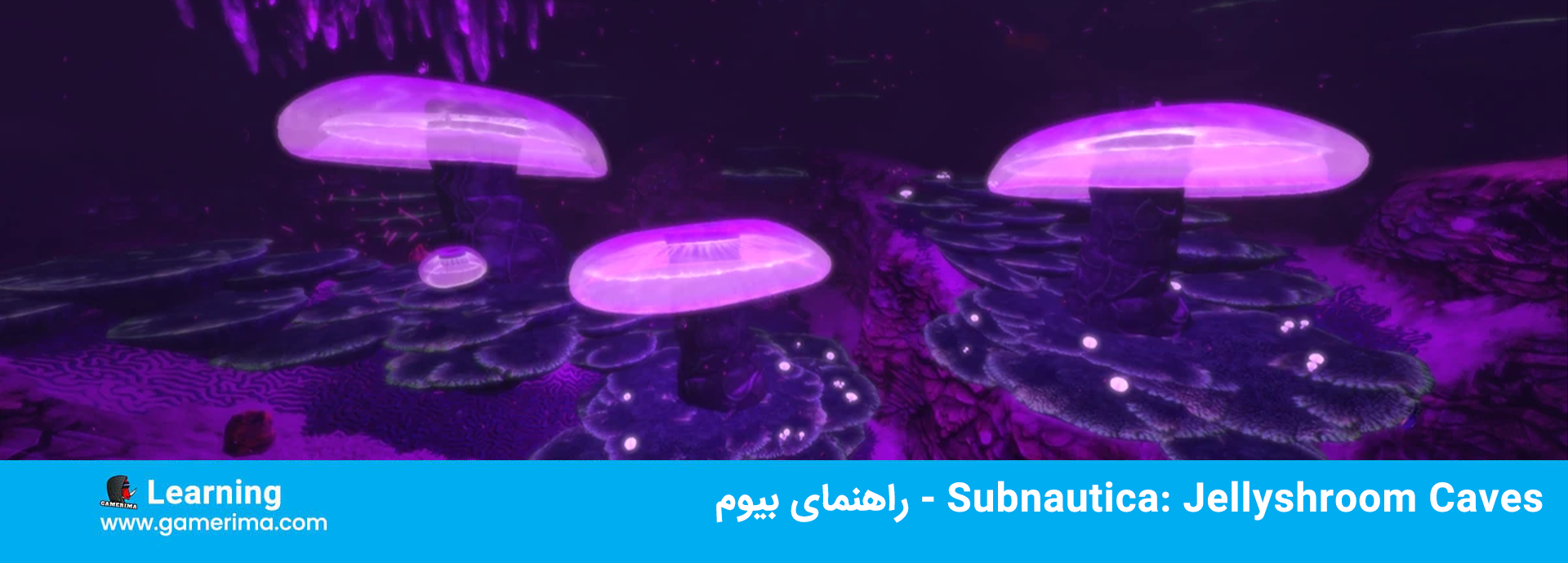 Subnautica: Jellyshroom Caves – راهنمای بیوم