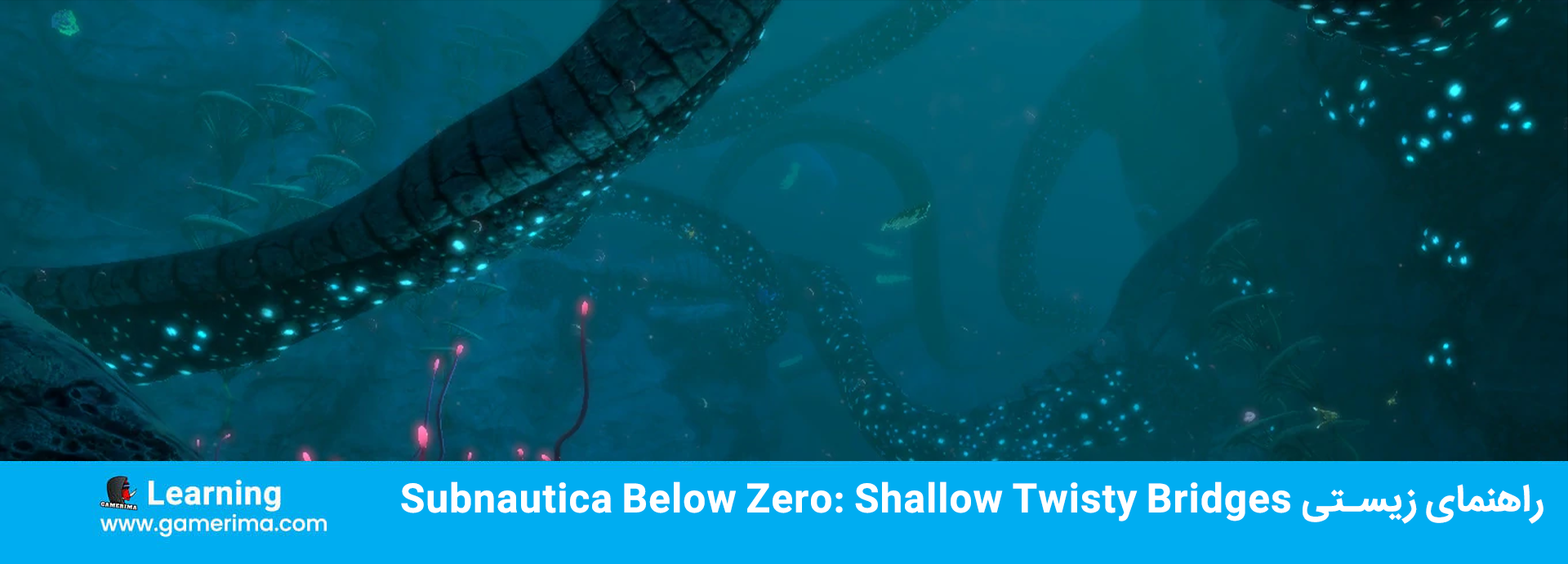 راهنمای زیستی Subnautica Below Zero: Shallow Twisty Bridges